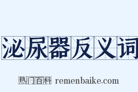 泌尿器反义词是什么意思的图片
